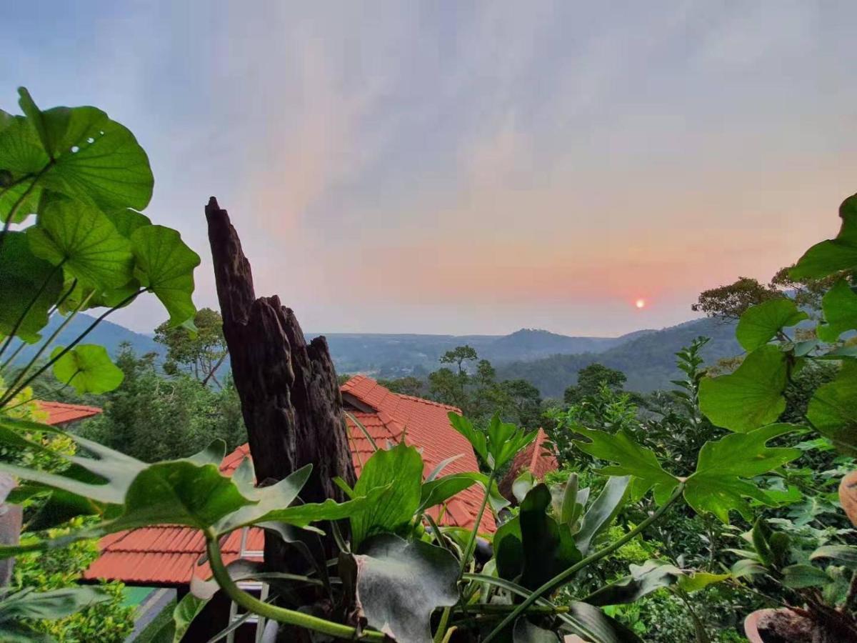 Bao Sheng Durian Farm Villa Balik Pulau Exteriör bild
