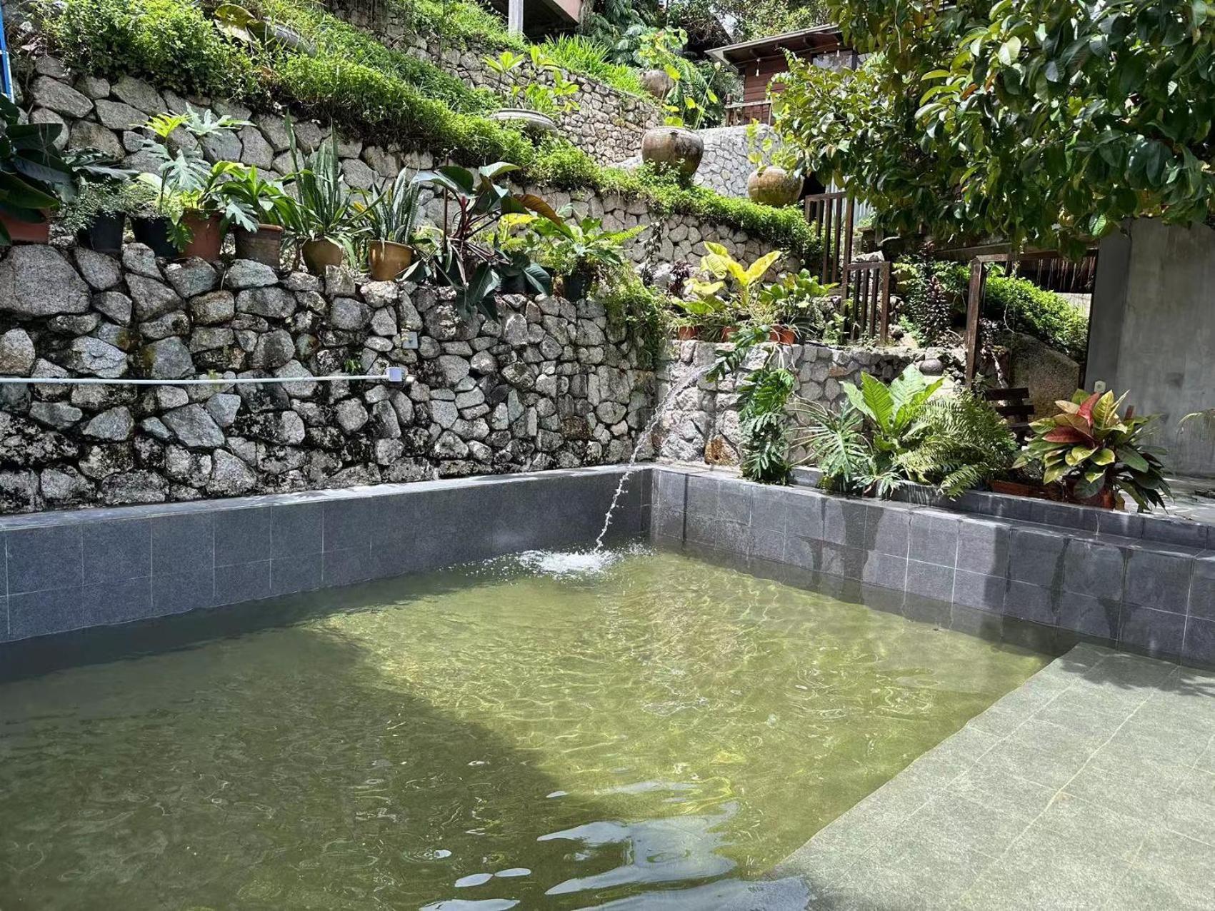 Bao Sheng Durian Farm Villa Balik Pulau Exteriör bild