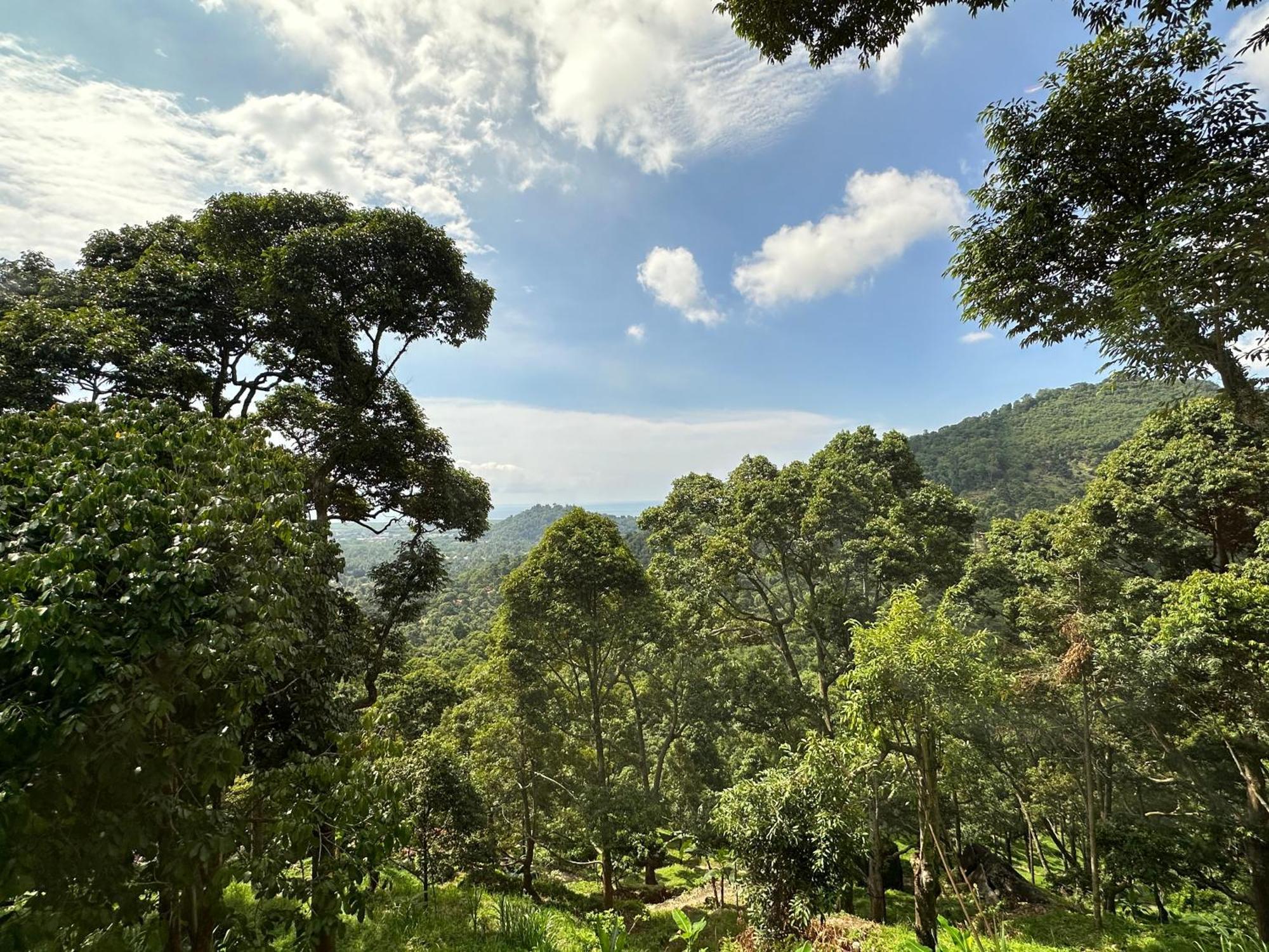 Bao Sheng Durian Farm Villa Balik Pulau Exteriör bild
